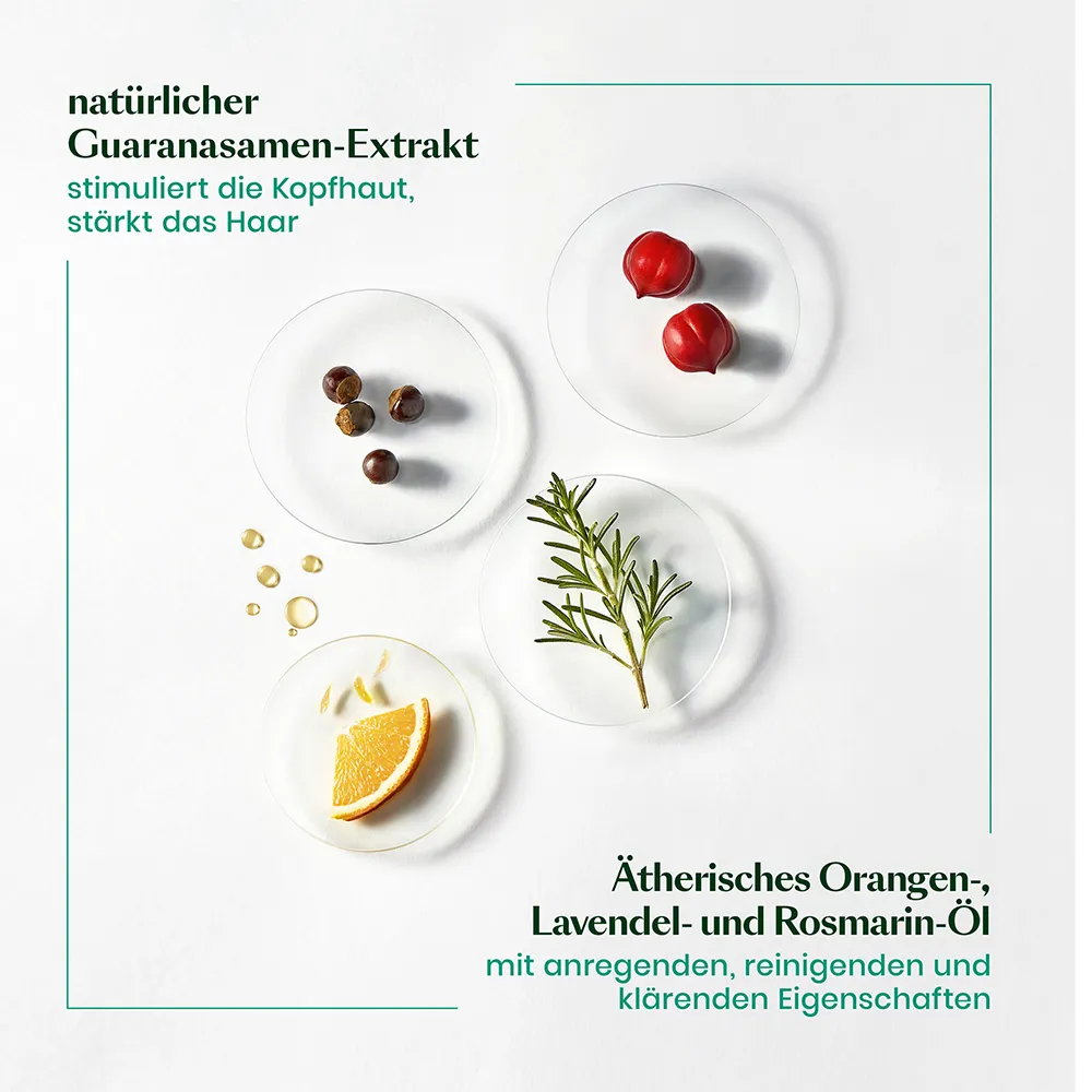 Rene Furterer Forticea Vitalisierendes Haar-Tonikum-Energie 100 ml 2 Rene Furterer Forticea Vitalisierendes Haar-Tonikum-Energie 100 ml